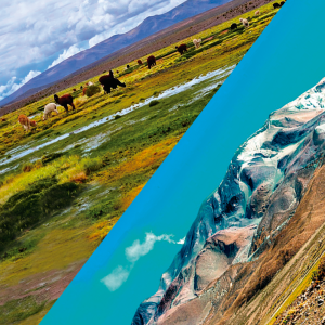 TOUR ALTIPLANO Y PARQUE NACIONAL VOLCÁN ISLUGA (FULL DAY)