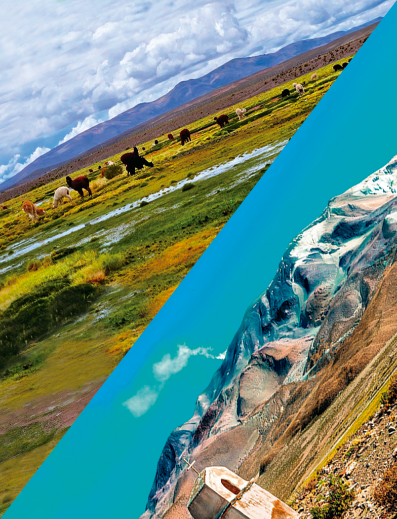 TOUR ALTIPLANO Y PARQUE NACIONAL VOLCÁN ISLUGA (FULL DAY)